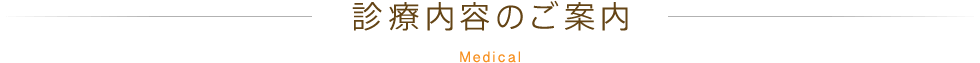 診療内容のご案内